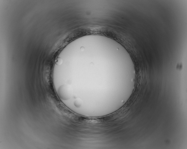 X0000111780698200907230949