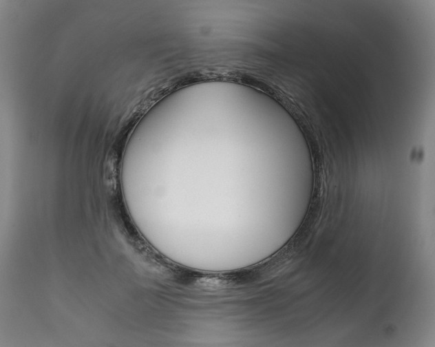 X0000111780699200907230949