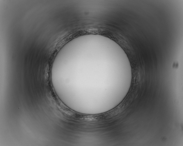 X0000111780702200907230949