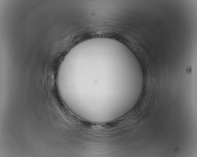 X0000111780703200907230949