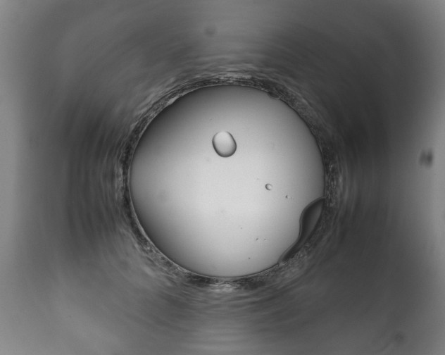 X0000111780704200907230949