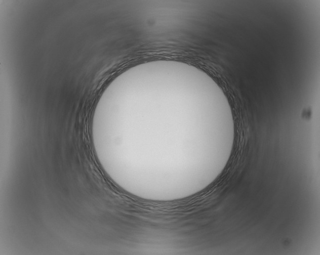 X0000111780705200907230949