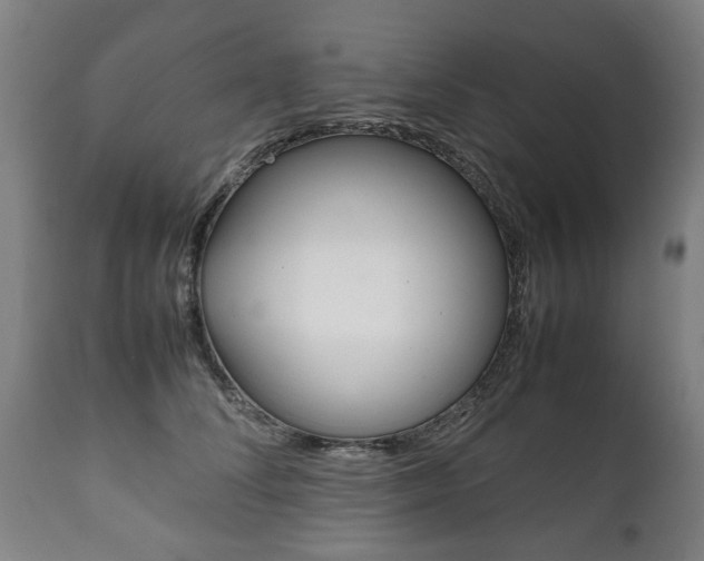 X0000111780708200907230949