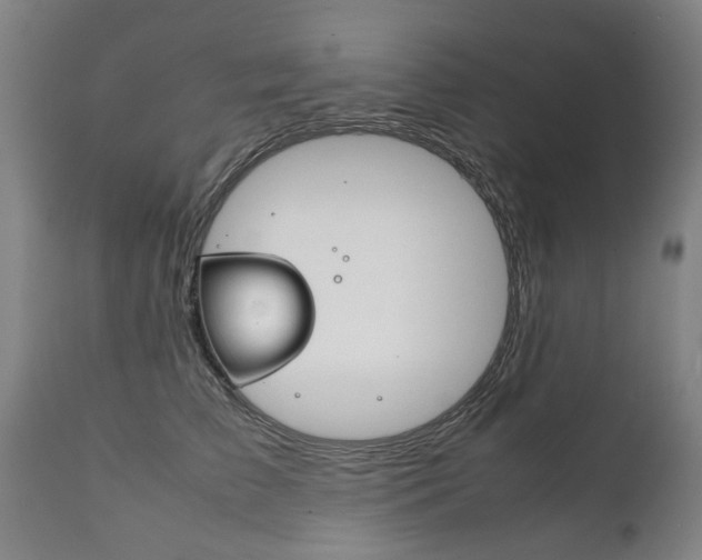 X0000111780709200907230949
