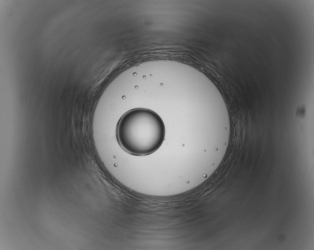 X0000111780712200907230949