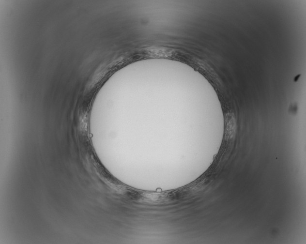 X0000111780713200907230949