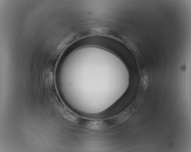 X0000111780716200907230949