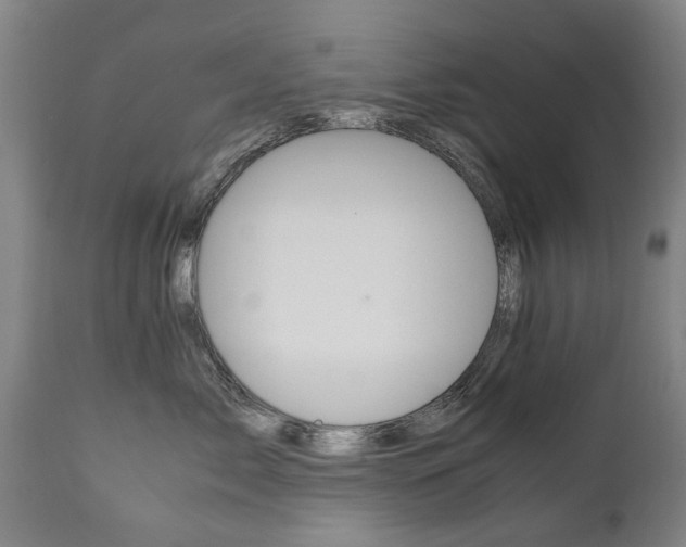 X0000111780717200907230949