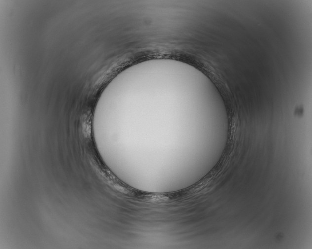 X0000111780719200907230949