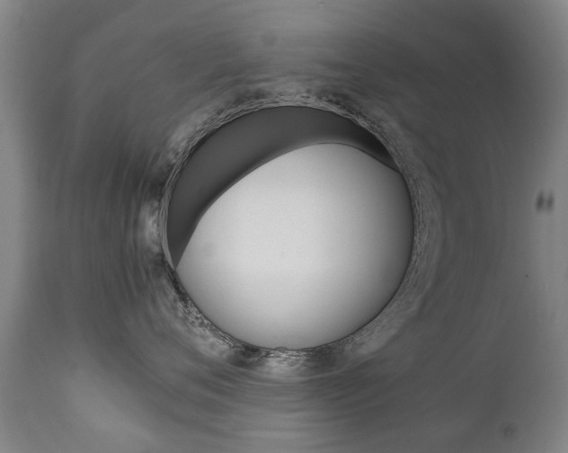 X0000111780720200907230949