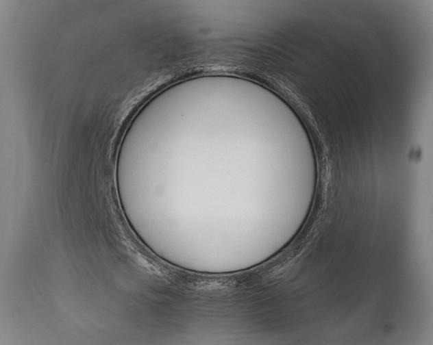 X0000111780721200907230948