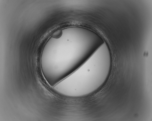 X0000111780722200907230948