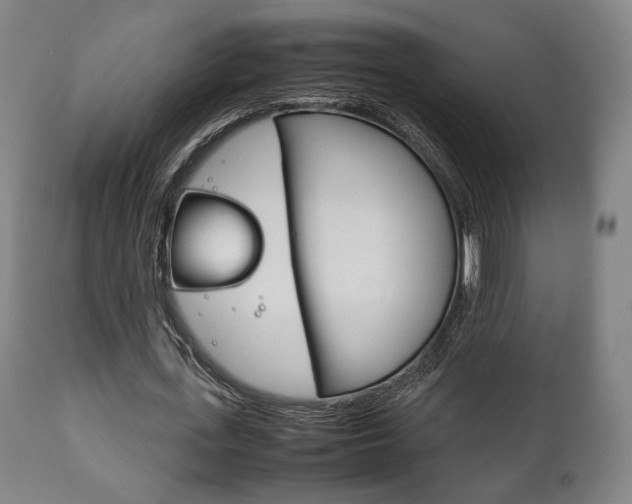 X0000111780723200907230948