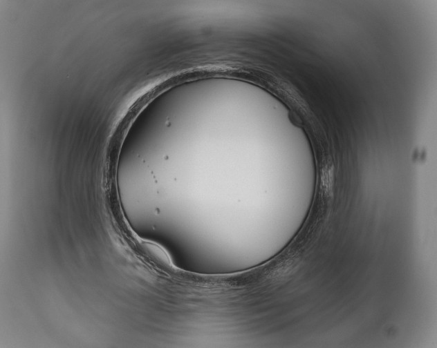 X0000111780724200907230948
