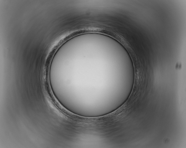 X0000111780726200907230948