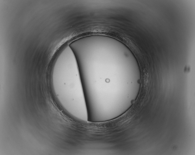X0000111780727200907230948