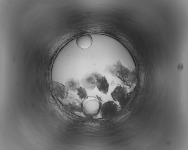 X0000111780729200907230948