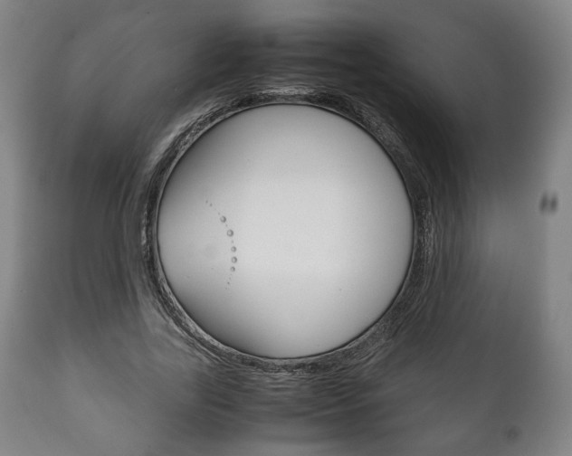 X0000111780731200907230948