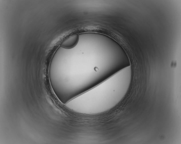 X0000111780732200907230948