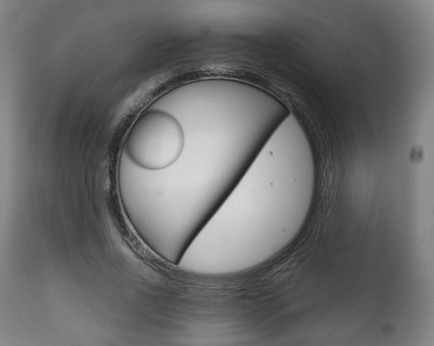 X0000111780734200907230948