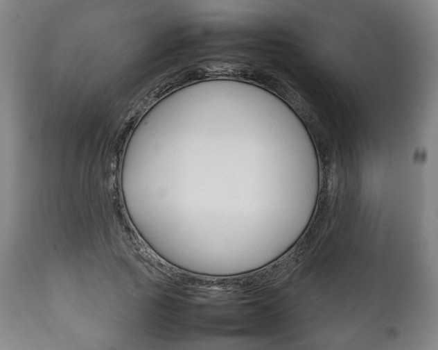 X0000111780737200907230948