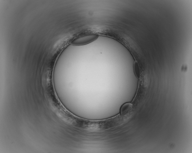 X0000111780740200907230948