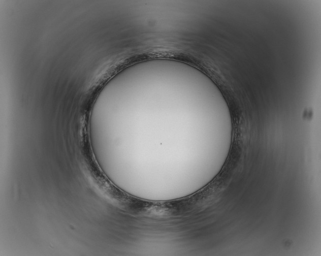 X0000111780742200907230948
