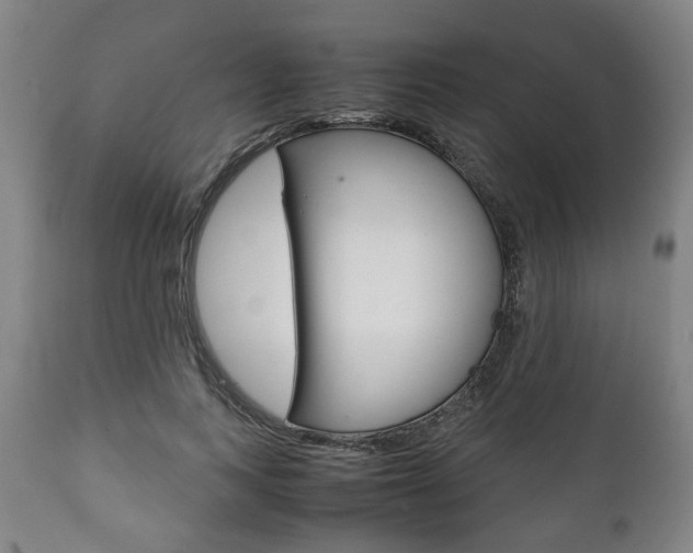 X0000111780743200907230948
