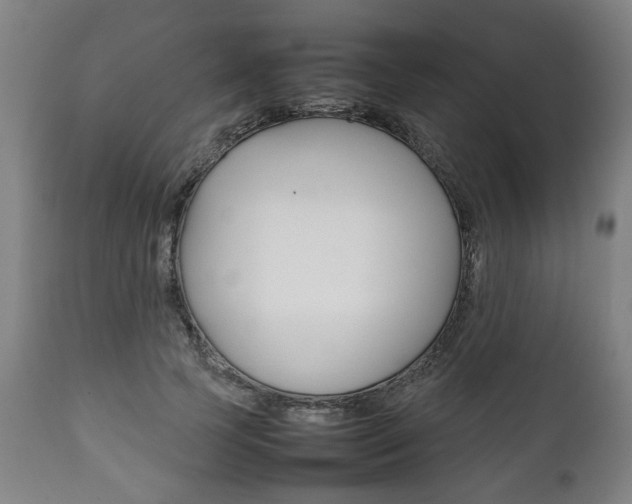 X0000111780745200907230949