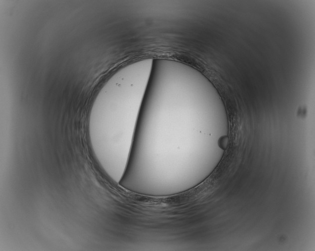 X0000111780747200907230949
