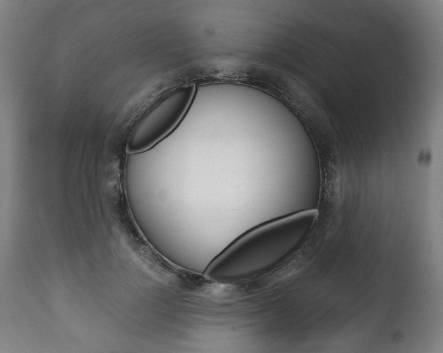 X0000111780748200907230949
