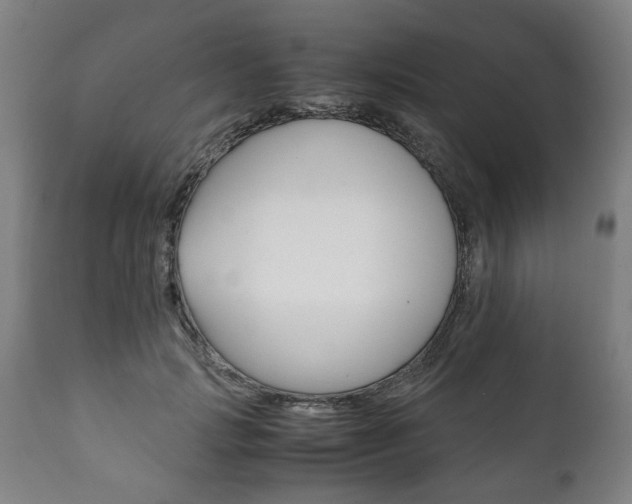 X0000111780749200907230949