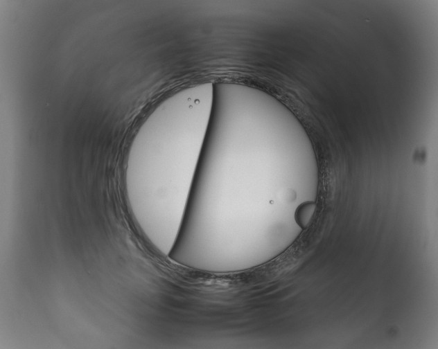 X0000111780751200907230949
