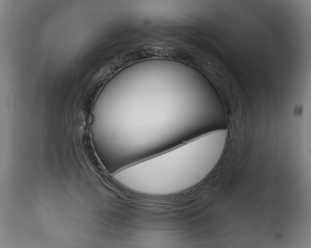 X0000111780752200907230949