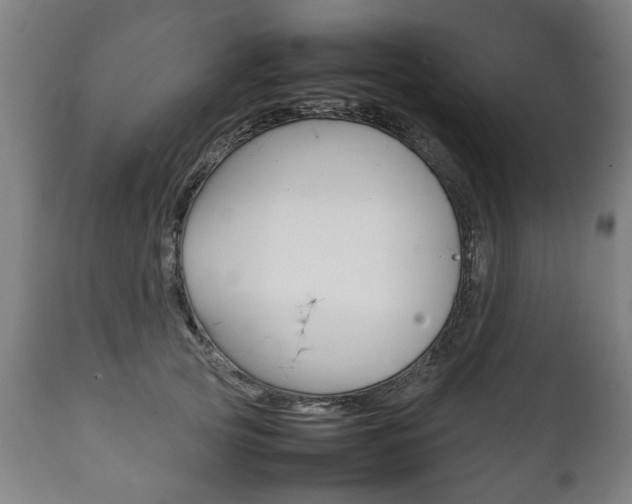 X0000111780753200907230949