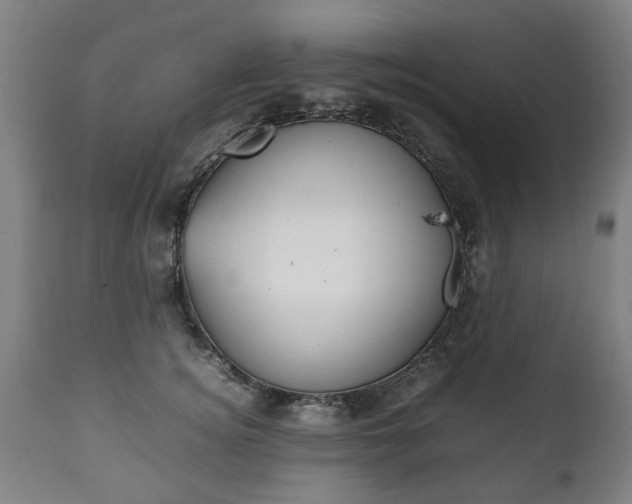 X0000111780756200907230949
