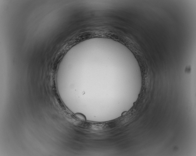 X0000111780757200907230949
