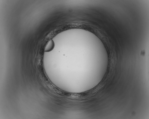 X0000111780758200907230949