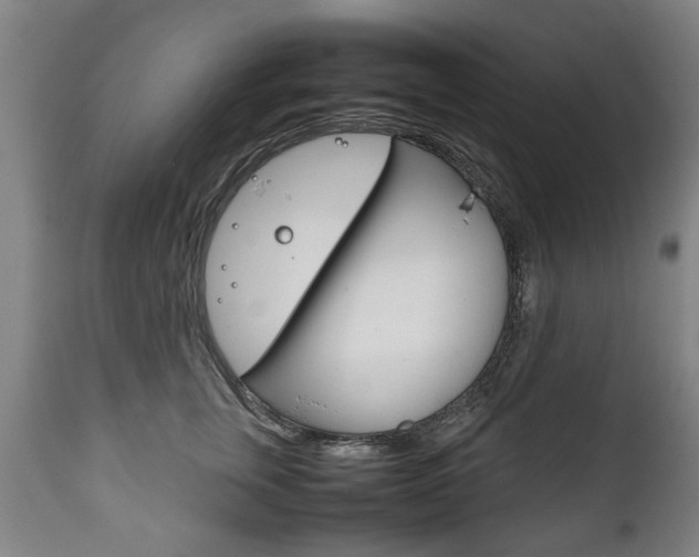 X0000111780759200907230949