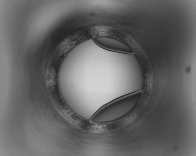 X0000111780760200907230949