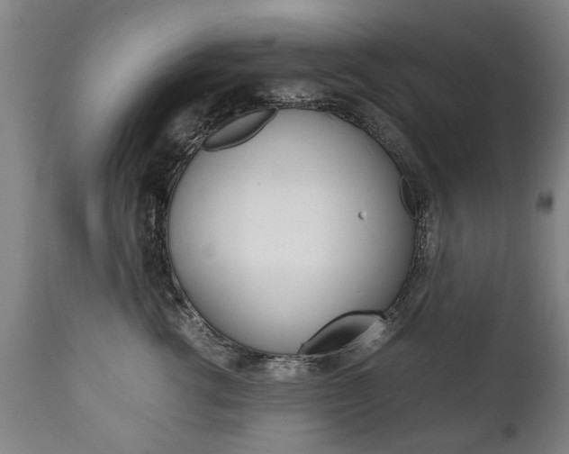 X0000111780762200907230949