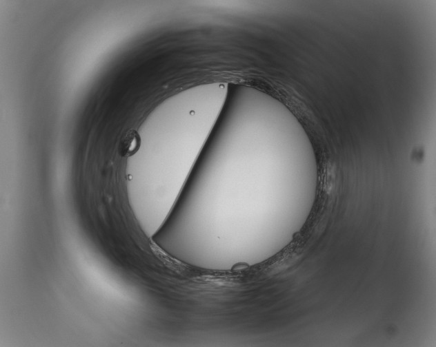 X0000111780763200907230949