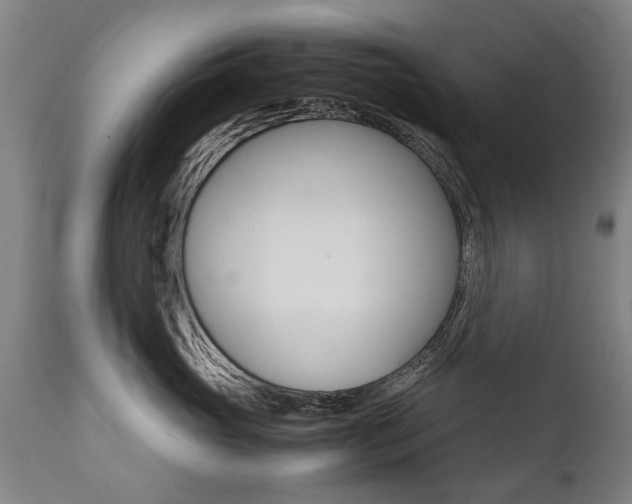 X0000111780765200907230949