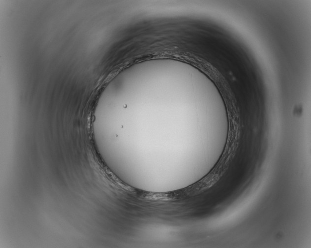 X0000111780767200907230949
