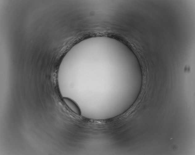 X0000111780768200907230949