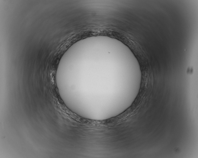 X0000111780770200907230948