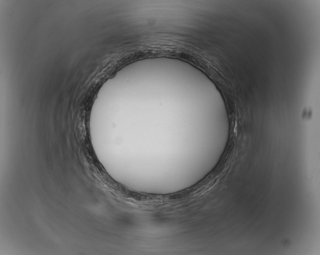 X0000111780771200907230948
