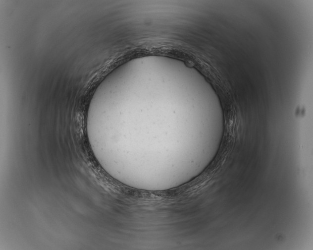 X0000111780772200907230948