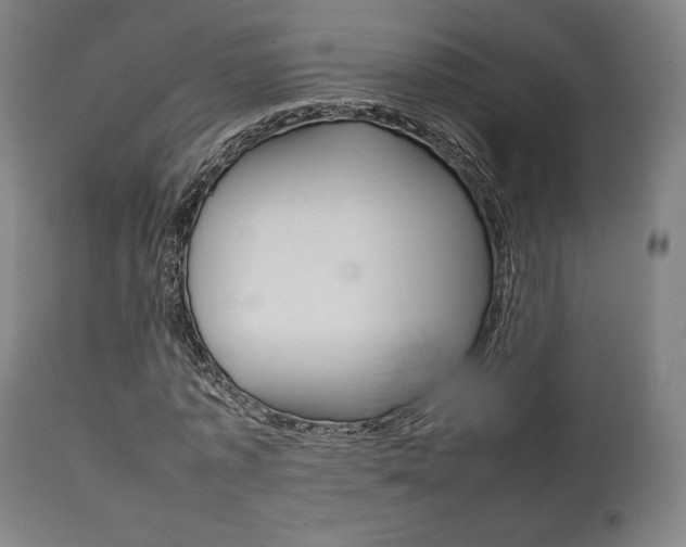 X0000111780773200907230948