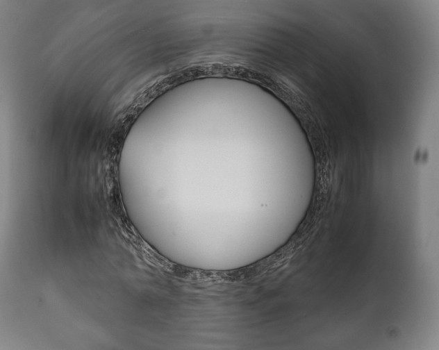 X0000111780774200907230948